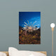 Fiji, Lionfish Wall Mural