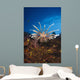 Fiji, Lionfish Wall Mural