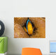 Fiji, Orange Fin Anemonefish Hiding In Its Host Anemone Wall Mural