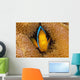 Fiji, Orange Fin Anemonefish Hiding In Its Host Anemone Wall Mural