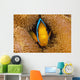 Fiji, Orange Fin Anemonefish Hiding In Its Host Anemone Wall Mural