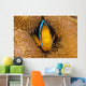 Fiji, Orange Fin Anemonefish Hiding In Its Host Anemone Wall Mural