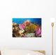 Fiji, Alconarian Coral And A Crinoid Along With Schooling Anthias Wall Mural