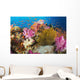 Fiji, Alconarian Coral And A Crinoid Along With Schooling Anthias Wall Mural