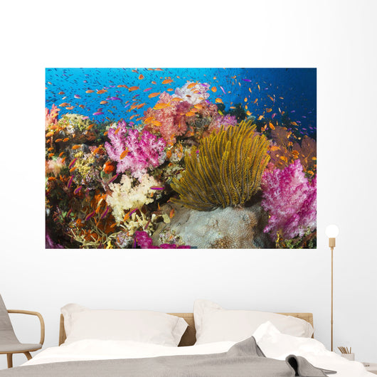 Fiji, Alconarian Coral And A Crinoid Along With Schooling Anthias Wall Mural