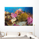 Fiji, Alconarian Coral And A Crinoid Along With Schooling Anthias Wall Mural