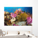 Fiji, Alconarian Coral And A Crinoid Along With Schooling Anthias Wall Mural
