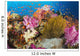 Fiji, Alconarian Coral And A Crinoid Along With Schooling Anthias Wall Mural