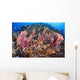 Fiji, Alconarian Coral With Schooling Anthias Wall Mural