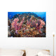 Fiji, Alconarian Coral With Schooling Anthias Wall Mural