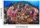 Fiji, Alconarian Coral With Schooling Anthias Wall Mural