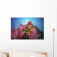 Fiji, Alconarian And Gorgonian Coral With Schooling Anthias Wall Mural