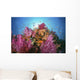 Fiji, Alconarian And Gorgonian Coral With Schooling Anthias Wall Mural