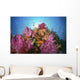 Fiji, Alconarian And Gorgonian Coral With Schooling Anthias Wall Mural