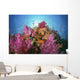 Fiji, Alconarian And Gorgonian Coral With Schooling Anthias Wall Mural
