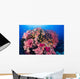 Fiji, Alconarian And Gorgonian Coral With Schooling Anthias Wall Mural