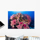 Fiji, Alconarian And Gorgonian Coral With Schooling Anthias Wall Mural