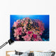 Fiji, Alconarian And Gorgonian Coral With Schooling Anthias Wall Mural