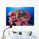 Fiji, Alconarian And Gorgonian Coral With Schooling Anthias Wall Mural