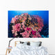 Fiji, Alconarian And Gorgonian Coral With Schooling Anthias Wall Mural