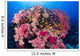 Fiji, Alconarian And Gorgonian Coral With Schooling Anthias Wall Mural