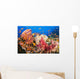 Fiji, Alconarian And Gorgonian Coral With Schooling Anthias Wall Mural