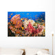 Fiji, Alconarian And Gorgonian Coral With Schooling Anthias Wall Mural