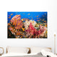 Fiji, Alconarian And Gorgonian Coral With Schooling Anthias Wall Mural