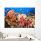 Fiji, Alconarian And Gorgonian Coral With Schooling Anthias Wall Mural
