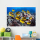 Hawaii, Lanai, Schooling Raccoon Butterflyfish Wall Mural