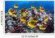 Hawaii, Lanai, Schooling Raccoon Butterflyfish Wall Mural