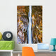Water flowing Wall Mural