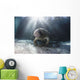 Endangered Florida Manatee At Three Sisters Spring Wall Mural