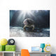 Endangered Florida Manatee At Three Sisters Spring Wall Mural