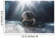 Endangered Florida Manatee At Three Sisters Spring Wall Mural