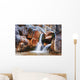 Man Under Waterfall Wall Mural