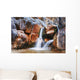 Man Under Waterfall Wall Mural