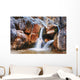 Man Under Waterfall Wall Mural