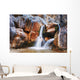 Man Under Waterfall Wall Mural