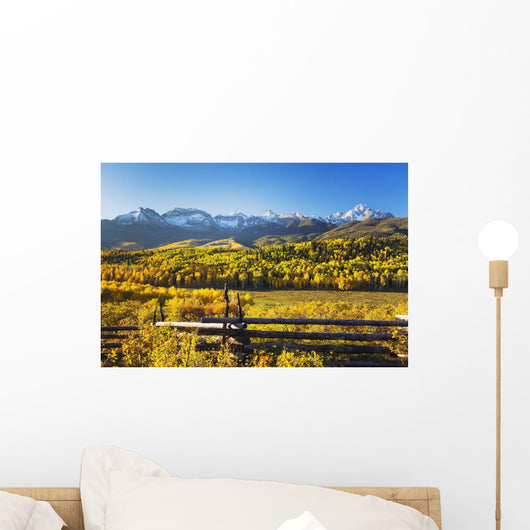 Snow Covered Aspen Mountains In Distance Wall Mural