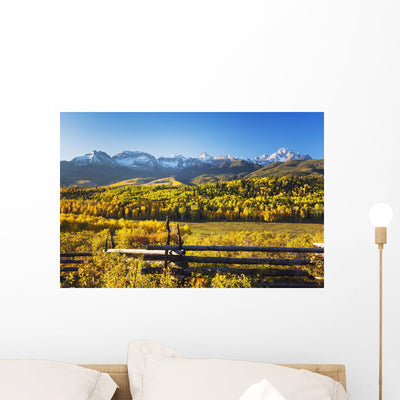 Snow Covered Aspen Mountains Wall Mural shown on a wall
