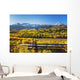 Snow Covered Aspen Mountains In Distance Wall Mural