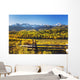 Snow Covered Aspen Mountains In Distance Wall Mural