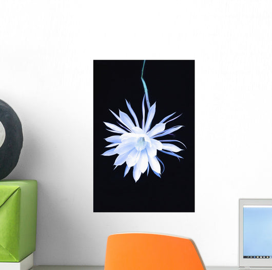 Queen Night Blooming Cereus Wall Decal