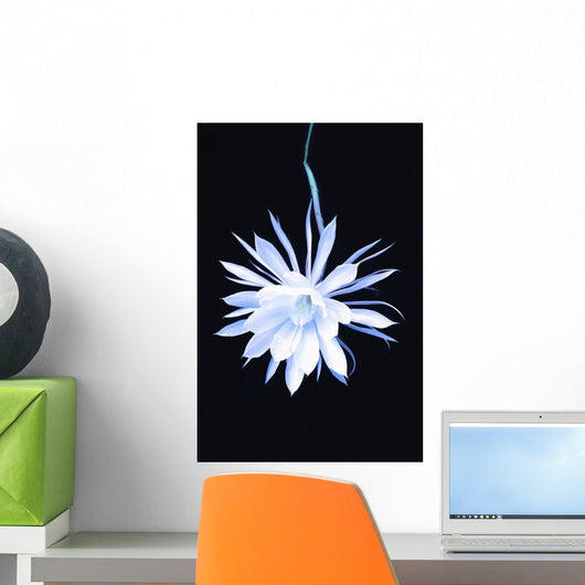 Queen Night Blooming Cereus Wall Decal