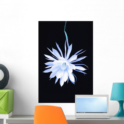 Queen Night Blooming Cereus Wall Decal