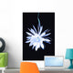 Queen Night Blooming Cereus Wall Decal