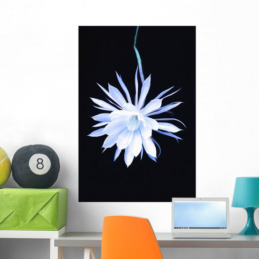 Queen Night Blooming Cereus Wall Decal
