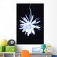 Queen Night Blooming Cereus Wall Decal