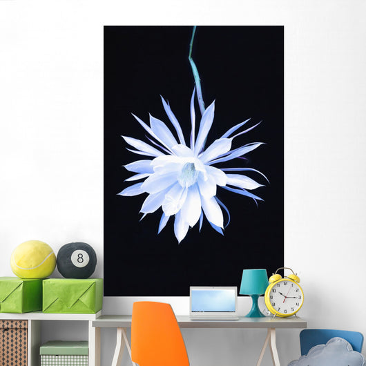 Queen Night Blooming Cereus Wall Decal